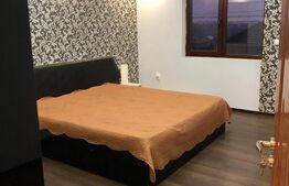 Doua case, spatiu comercial, casa tip pensiune Goicea Dolj 