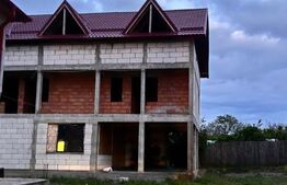Doua case, spatiu comercial, casa tip pensiune Goicea Dolj 