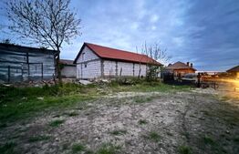Doua case, spatiu comercial, casa tip pensiune Goicea Dolj 
