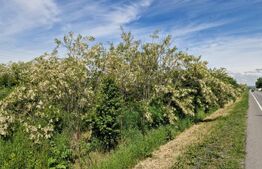Teren de vânzare, 900 mp, Drumul European – Isalnița