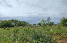 Teren intravilan, 987 mp, deschidere 19,5 m, Mânăstire Cârcea 