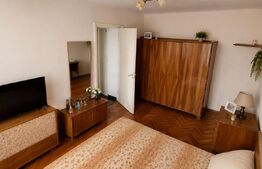 Apartament 2 camere, 50 mp, zona Piata Garii - Brazda lui Novac