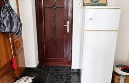 Apartament 2 camere, 50 mp, zona Piata Garii - Brazda lui Novac