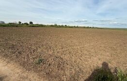 Teren de vânzare Carcea  - 193379TV | BLITZ Craiova | Poza4