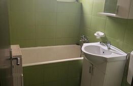Apartament 2 camere – Brazda lui Novac