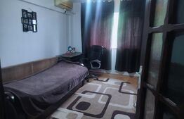 Camera de camin - 20 mp - Valea Rosie