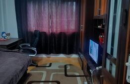 Camera de camin - 20 mp - Valea Rosie