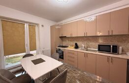 Apartament 2 camere 53 mp, curte + terasă 59 mp, zona Parcul Romanescu