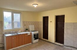 Casa parter + pod, 3.309 mp teren, Com. Pielesti