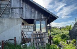 Casa parter + pod, 3.309 mp teren, Com. Pielesti