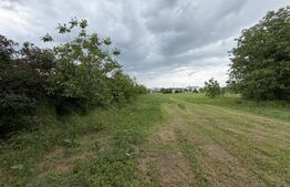 Teren intravilan trilateral construibil 14342 mp, Bariera Valcii-Carpenului