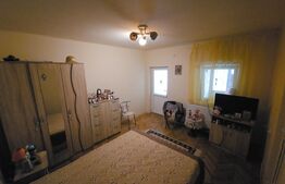 Casa parter 2 camere, stradal, 70 mp, Strada Potelu 