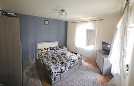 Casa parter 2 camere, stradal, 70 mp, Strada Potelu 