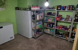 Casă de vânzare, 2 locuințe aceeași curte, 273 mp, teren 3.855 mp, Baldovinești 
