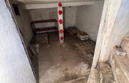 Casă de vânzare, 2 locuințe aceeași curte, 273 mp, teren 3.855 mp, Baldovinești 