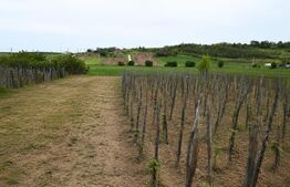 Casă de vânzare, 2 locuințe aceeași curte, 273 mp, teren 3.855 mp, Baldovinești 