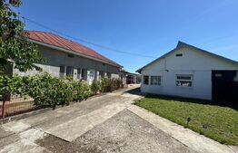 Casă de vânzare, 2 locuințe aceeași curte, 273 mp, teren 3.855 mp, Baldovinești 