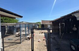 Casă de vânzare, 2 locuințe aceeași curte, 273 mp, teren 3.855 mp, Baldovinești 