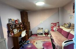 Casă de vânzare, 2 locuințe aceeași curte, 273 mp, teren 3.855 mp, Baldovinești 