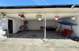 Casă de vânzare, 2 locuințe aceeași curte, 273 mp, teren 3.855 mp, Baldovinești 