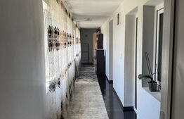Casă de vânzare, 2 locuințe aceeași curte, 273 mp, teren 3.855 mp, Baldovinești 