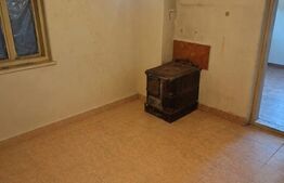 Casă de vânzare, 2 locuințe aceeași curte, 273 mp, teren 3.855 mp, Baldovinești 