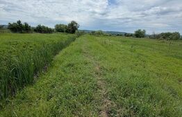 Teren de 6000 mp, vizavi de gara din Filiasi