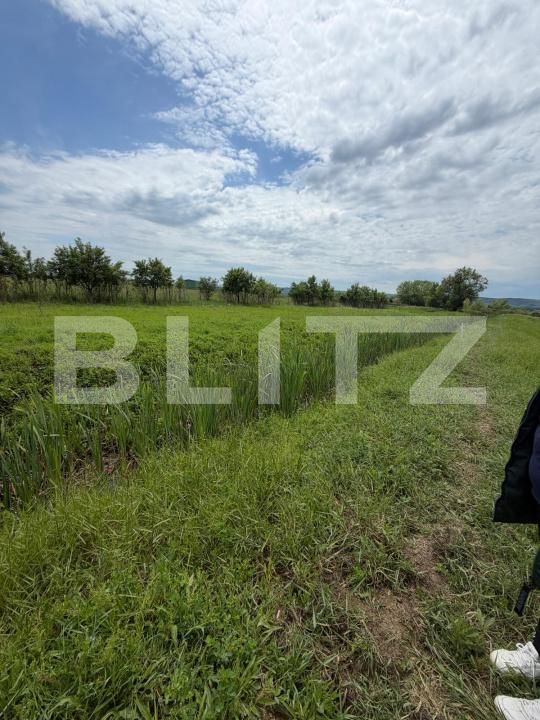 Teren de vânzare Exterior Vest - 196079TV | BLITZ Craiova | Poza9