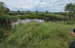 Teren de 6000 mp, vizavi de gara din Filiasi 