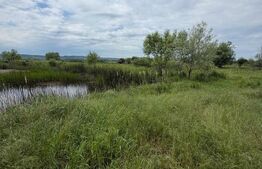 Teren de 6000 mp, vizavi de gara din Filiasi 