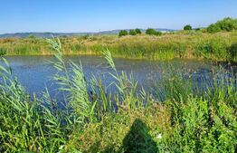 Teren de 6000 mp, vizavi de gara din Filiasi 