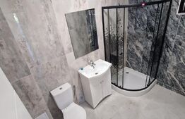 Apartament 2 camere open space, 55 mp, zona Balș - Central