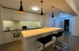 Penthouse 90 mp, terasă proprie 90 mp, panoramă superbă, Calea Severinului