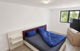 Apartament 2 camere open space, 55 mp, Balș zona centrala