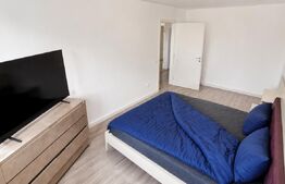 Apartament 2 camere open space, 55 mp, Balș zona centrala
