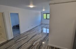 Apartament 2 camere open space, 56 mp, Balș zona centrala
