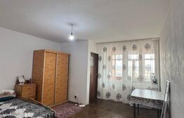 Garsonieră mobilată și utilată, 30 mp, cartierul Brazda lui Novac