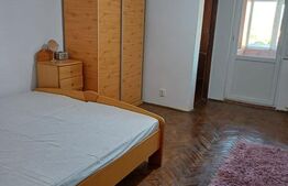 Garsonieră mobilată și utilată, 30 mp, cartierul Brazda lui Novac