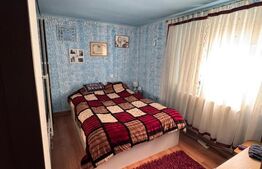 Casa complet utilata si mobilata, 160 mp, zona Damila - La Capsunarie 