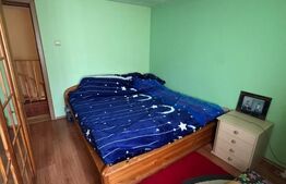 Casa complet utilata si mobilata, 160 mp, zona Damila - La Capsunarie 