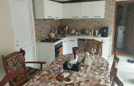 Casa complet utilata si mobilata, 160 mp, zona Damila - La Capsunarie 