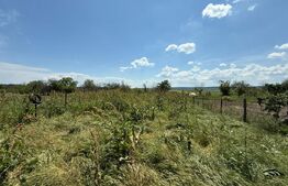Casa P+E, 110 mp utili, 700 mp teren, zona Sat Jiului