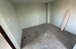 Casa P+E, 110 mp utili, 700 mp teren, zona Sat Jiului
