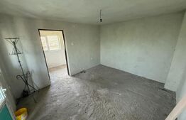 Casa P+E, 110 mp utili, 700 mp teren, zona Sat Jiului