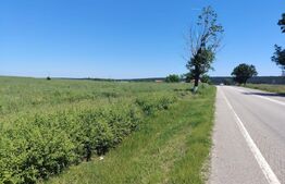 Teren intravilan – 3250 mp, Balș / Bobicești