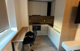 Studio, 39 mp, incalzire in pardoseala, zona Rovine