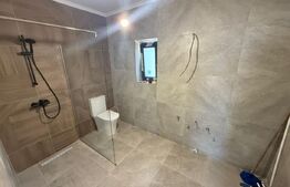 Casa P+E, 118 mp utili, 329 mp teren, zona Carcea