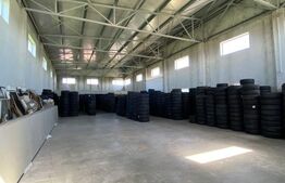 Spațiu industrial de închiriat Valea Rosie - 169665SII | BLITZ Craiova | Poza3