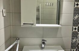 Apartament de 2 camere,  42.60 mp, mobilat si utilat modern, Calea Severinului 