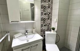 Apartament de 2 camere,  42.60 mp, mobilat si utilat modern, Calea Severinului 